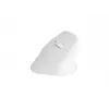 NATEC Crake 2 hiir, universaalne, paremakäeline, RF juhtmevaba + Bluetooth optiline 2400 DPI
