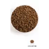 ACANA Dog Puppy kuiv koeratoit 11,4kg ACANA Dog Puppy kuiv koeratoit 11 on Acana koeratoit. Ehtne Acana toode — MPN: · EAN: