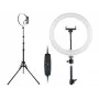 TRACER RING 30cm ringvalgus statiiviga 210cm
