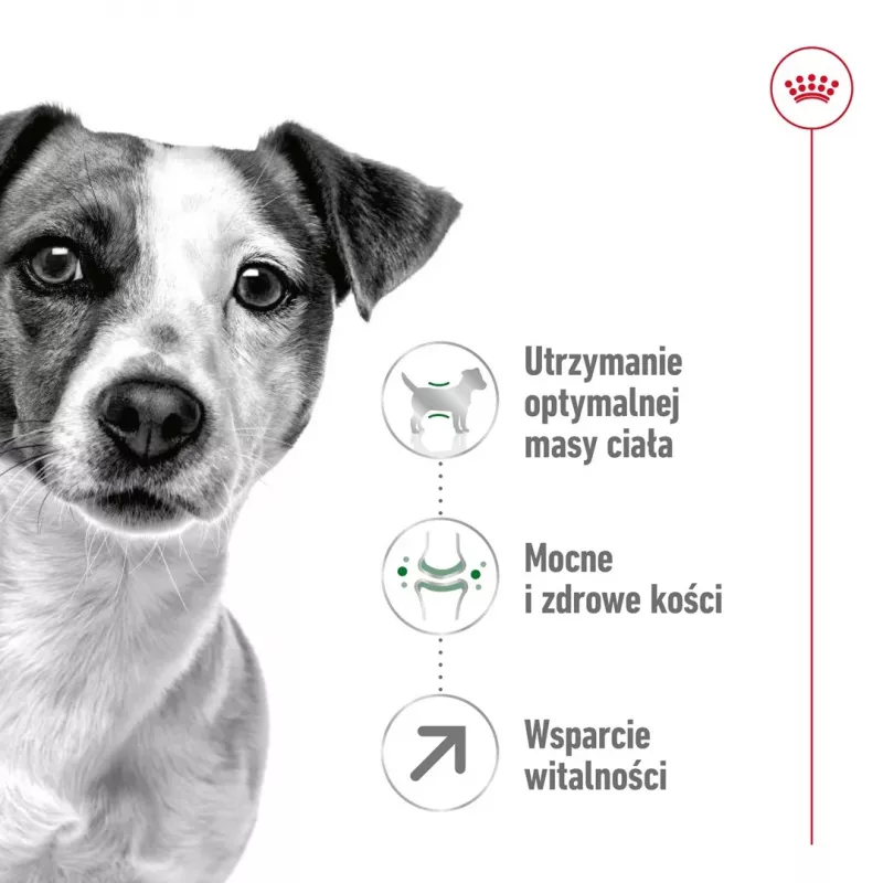 Kuiv koeratoit Royal Canin Mini Adult 8+ Senior linnuliha, riisi ja köögiviljadega, 8 kg, väikestele tõugudele (5–10 kg)