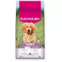 EUKANUBA Puppy L XL rikas lammaste ja riisi sisaldusega - kuiv koeratoit - 12kg