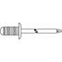 Blindineet GESIPA Polygrip 4,8×25 Al/St, haardevahemik 11,0–19,5 mm — pakendis 250 tk