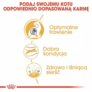 Kuiv kassitoit Royal Canin Bengal Adult 2 kg — linnuliha, 40% valku, 18% rasva, seedimise ja naha hooldus