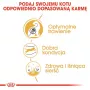 Kuiv kassitoit Royal Canin Bengal Adult 2 kg — linnuliha, 40% valku, 18% rasva, seedimise ja naha hooldus