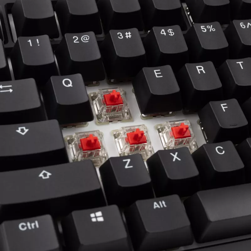 Ducky Tinker 75 klaviatuur Gaming USB US English Must
