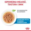 ROYAL CANIN SHN Mini Puppy kastmes - märg kutsikatoit - 12X85g