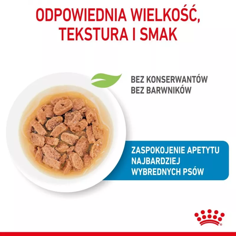 ROYAL CANIN SHN Mini Puppy kastmes - märg kutsikatoit - 12X85g