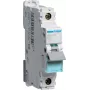 Hager NBN125. Pooluste arv: 1P. Vahelduvvoolu sisendsagedus: 50/60 Hz, Nimiväljundvool: 25 A. Laius: 17,5 mm, Sügavus: 70 mm, Kõrgus: 83 mm (NBN125)