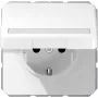 Pistikupesa paigalduskarp JUNG CD 1520 BFNAKL WW Schuko tüüp F 16A 250V valge