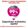 Kuiv koeratoit Royal Canin Mini Exigent 1 kg — väikeste tõugude vanematele koertele, 30% valku, 22% rasva