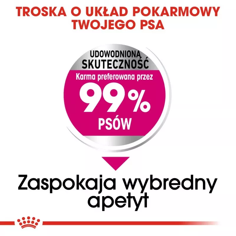 Kuiv koeratoit Royal Canin Mini Exigent 1 kg — väikeste tõugude vanematele koertele, 30% valku, 22% rasva