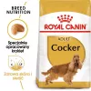 Royal Canin Cocker Adult kuivtoit koertele, 12 kg