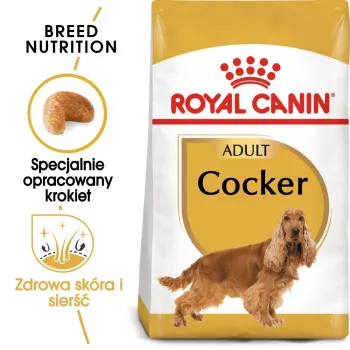 Royal Canin Cocker Adult kuiv koeratoit 12 kg — linnuliha, 25% valku, 14% rasva