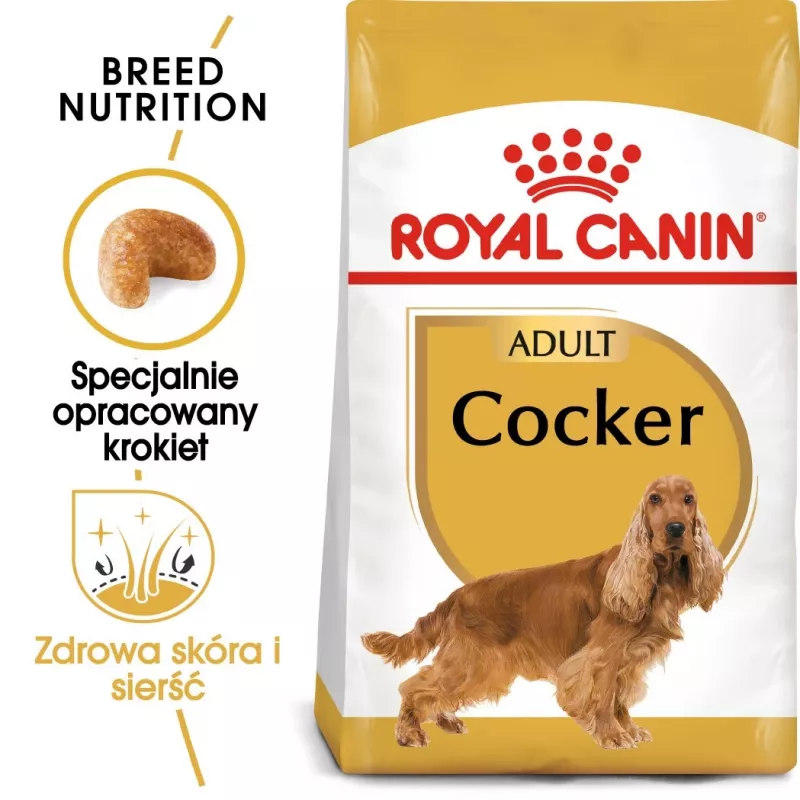Royal Canin Cocker Adult kuivtoit koertele, 12 kg