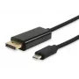 Equip USB USB-C to DisplayPort kaabel, isane–isane, 1,8 m, 1,8 m, USB USB-C, DisplayPort, isane, isane, sirge