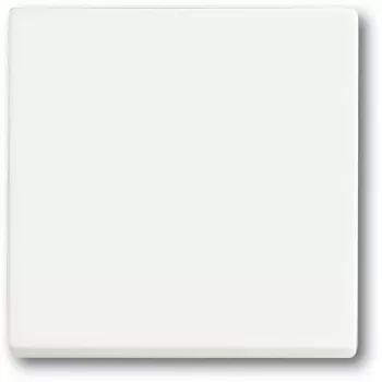 Lüliti Busch-Jaeger 1751-0-3027 — plastkorp, valge, nuppjuhtimine, 63×63 mm