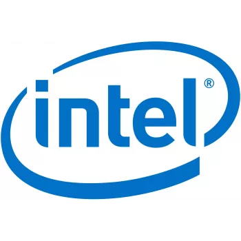 Intel Remote Management Module 4 Lite 2 - kaugjuhtimisadapter (AXXRMM4LITE2)