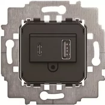 BJ 6475 U toiteplokk - sisend USB A+C (2CKA006400A0398)