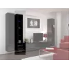 Cama Vitriinkapp VIGO '180' 180/40/30 must/must läikiv