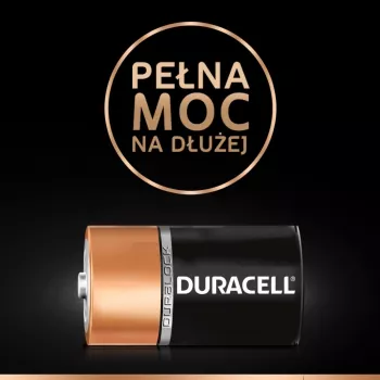 Battery Duracell Basic D (R20) — pakendis 2, primaarsed tsink-süsi elemendid