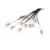 Breakout kaabel Digitus DK-2433CU030BK-BBB 30m OM4 12 Fibers LC/UPC