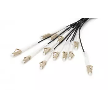 Breakout kaabel Digitus DK-2433CU030BK-BBB 30m OM4 12 Fibers LC/UPC