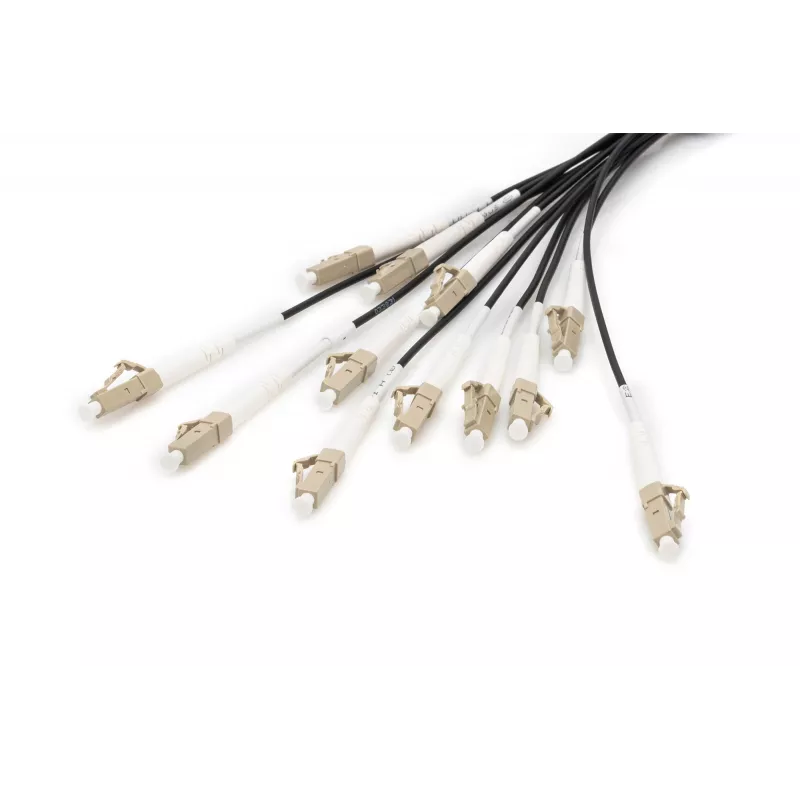 Breakout kaabel Digitus DK-2433CU030BK-BBB 30m OM4 12 Fibers LC/UPC