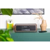 Kaasaskantav Bluetooth-kõlar BLAUPUNKT MS22BT — Juhtmevaba kaasaskantav heli, Bluetooth-ühenduvus