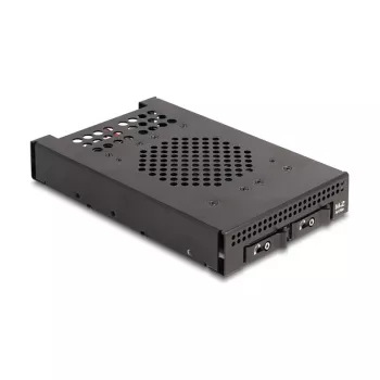 SSD korpus DeLOCK 47117 3.5-tolline mobiilraam kahele M.2 NVMe SSD-le
