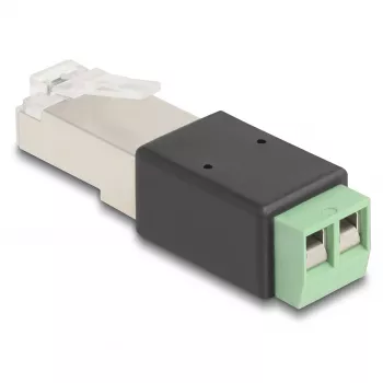 DeLOCK RJ45-pistik klemmiploki adapteriga 2 kontaktiga 66604 Must Roheline