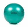 ABS taastusravi pall koos pumbaga, 65 cm
