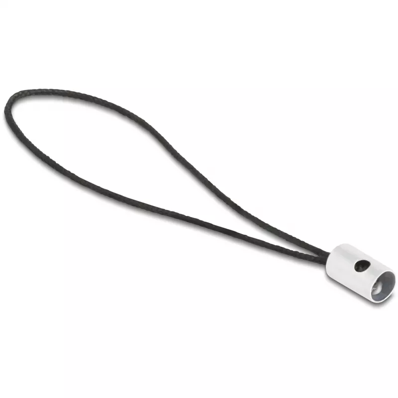 Kaablisoo muundur DeLOCK 60688 USB 2.0 USB-C 8 kontaktiga Lightning antra��iit