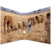 Ring binder A4 HERMA 7168 Multicolour