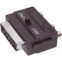 Audio adapter ShiverPeaks 22224031 — 3 x RCA stereopistikud