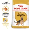 Kuiv koeratoit Royal Canin German Shepherd Adult, 11 kg — suur tõug, linnuliha, 24% valku, 19% rasva