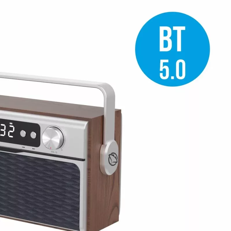 Kaasaskantav raadio MANTA RDI917PRO Bluetoothi ja USB-esitusega