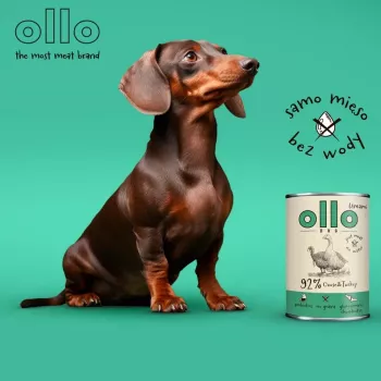 OLLO Umami Hani ja kalkun - märg koeratoit - 850g