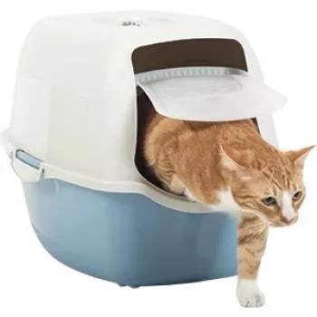 Hooded cat litter box Rotho Bailey 560×400×390 mm, blue/Valge, carbon filter, handle, door flap
