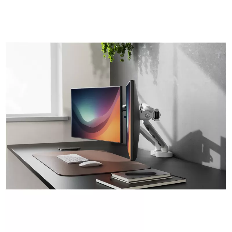 Monitor mount DIGITUS Dual design for 2×35 inch screens, clamp, 2×10 kg, VESA 75–100, tilt -45–90°