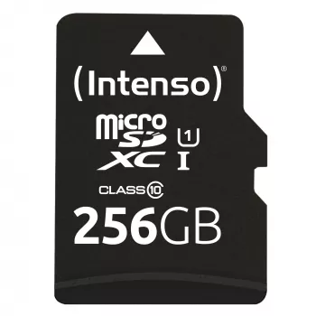 Välkmälu Intenso 256GB UHS-I microSD Performance Class 10