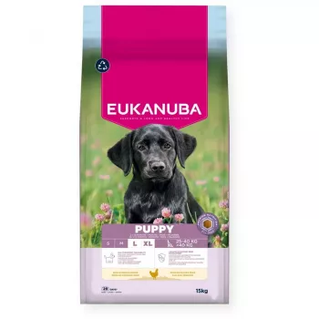 Kuiv koeratoit EUKANUBA Puppy Large Chicken 15 kg — suurte ja hiigeltõugude kutsikatele mõeldud toit, 26,5% valku