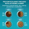 PURINA One Bifensis Sterilcat Veiseliha - kuiv kassitoit - 800 g