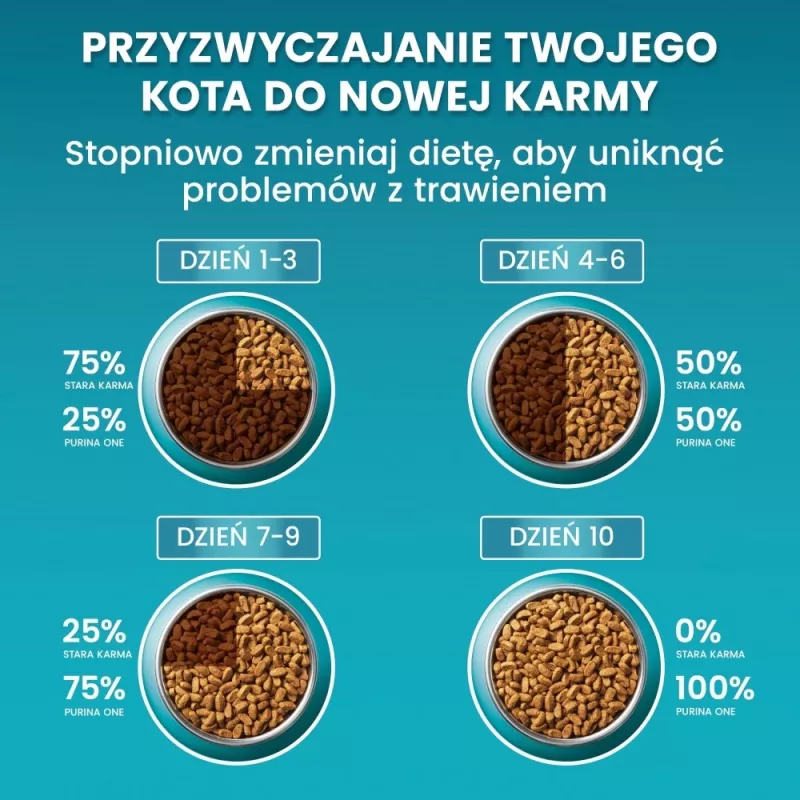 PURINA One Bifensis Sterilcat Veiseliha - kuiv kassitoit - 800 g