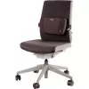 Tugi seljatoele PLUSHTOUCH/LUMBAR 8026501 FELLOWES