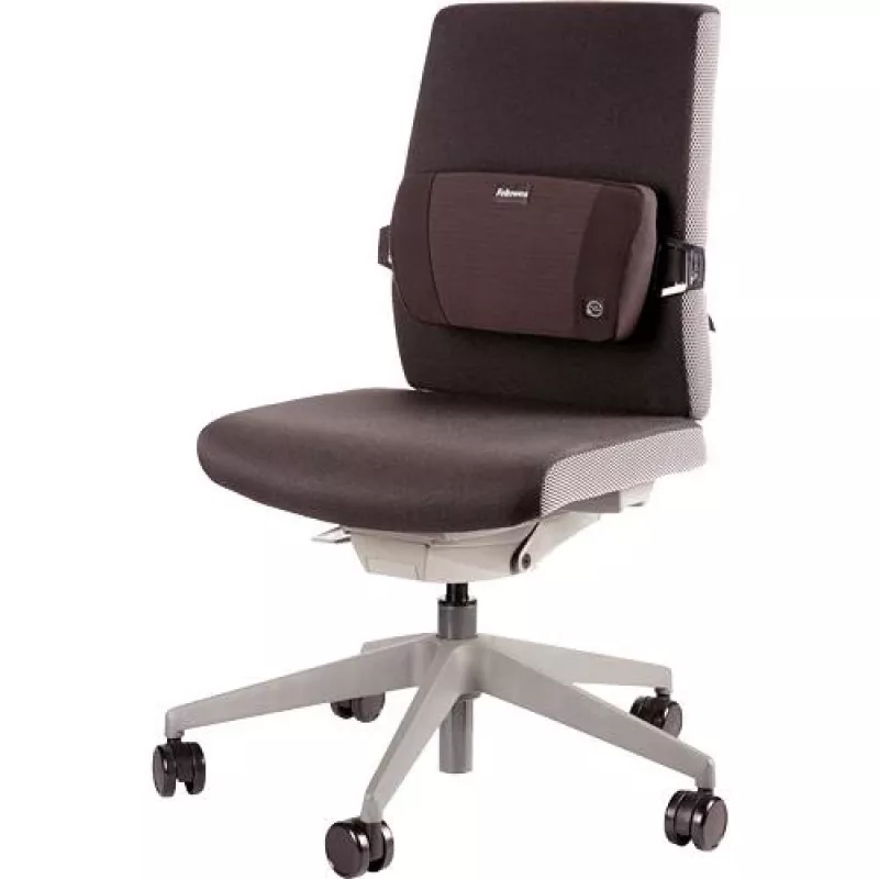 Tugi seljatoele PLUSHTOUCH/LUMBAR 8026501 FELLOWES