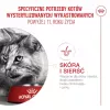 Kuiv kassitoit Royal Canin FHN Ageing Sterilised 11+ linnuliha 4 kg, 30% valku, 12,5% rasva