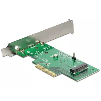 Sisemine M.2 adapter DeLOCK 89370