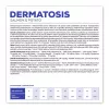 VET EXPERT Veterinary Diet Dermatosis Dog Salmon & Potato - kuiv koeratoit - 2 kg