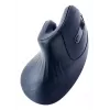 Gembird MUSW-ERGO-03 hiir Kodu Paremakäeline RF Juhtmevaba Optiline 1600 DPI