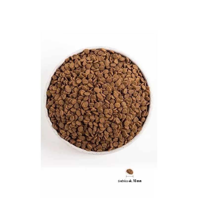 Orijen Cat & Kitten kasside kuivtoit kana, kala, kalkun 340 g